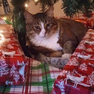 Meet your Posher, Jacob